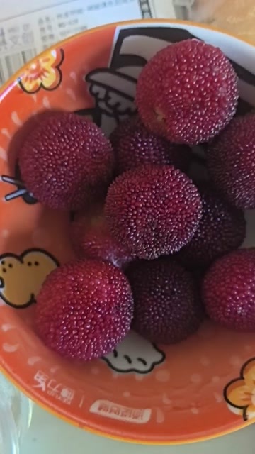 靖州县杨梅