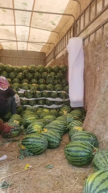 蒲城县我发货质量可以放心，可以押代办费，常年合作，诚信第一质量三包
