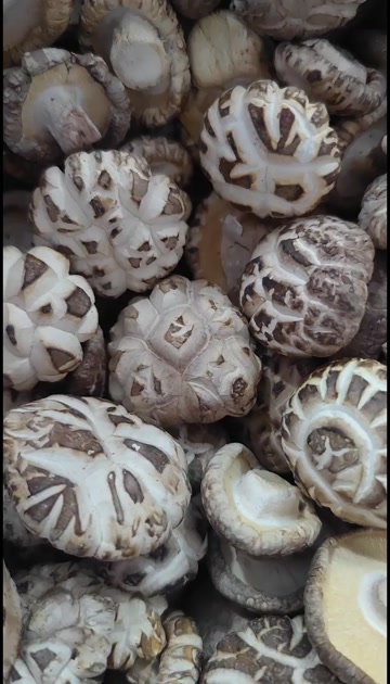 河南精选花菇干货批发商超展销会赶集干香菇批发一件代发冬菇白花