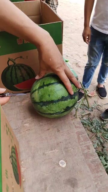 开封美都