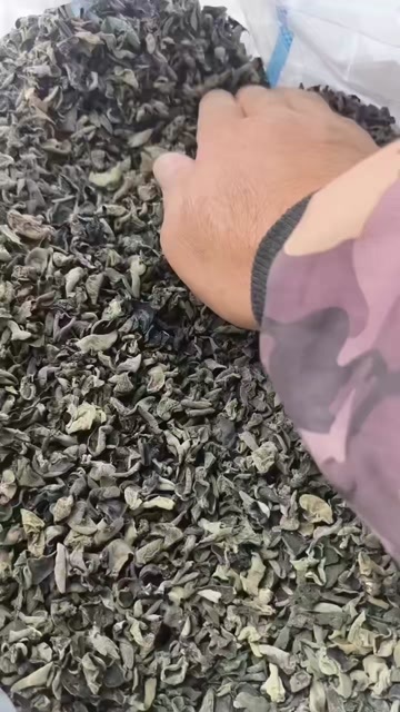 抚松县木耳牙子，1.0，质量嘎嘎好，煲汤包包子饺子