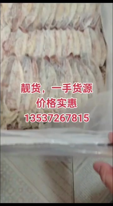 东莞市干鱿鱼，靓货，一手货源