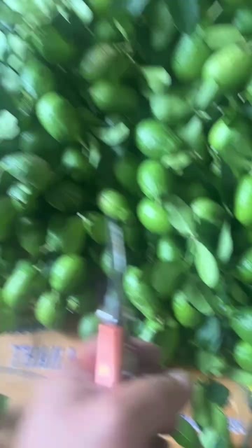 佛山产地直销，香水柠檬，一级果，二经果