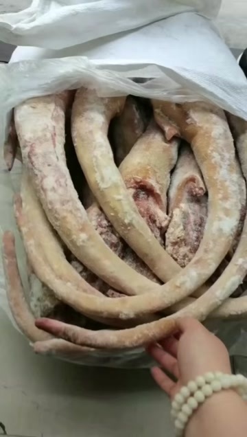 带皮牛尾 郑州现货一件起发