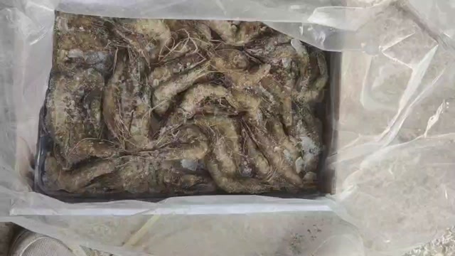 湛江熟虾青虾