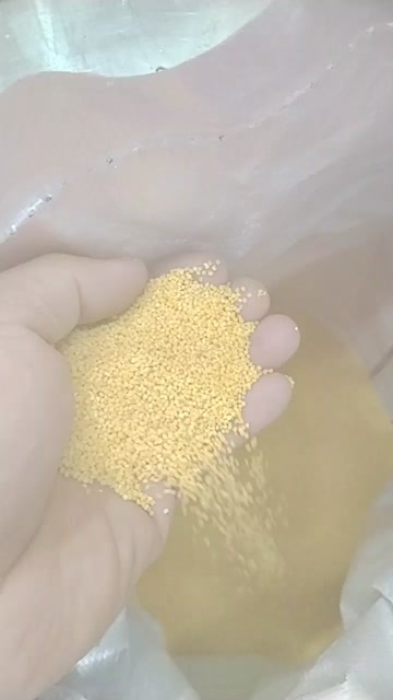 建平县金苗K1小米，口感香滑，米油浓厚。通货，散货。米砖各种包装