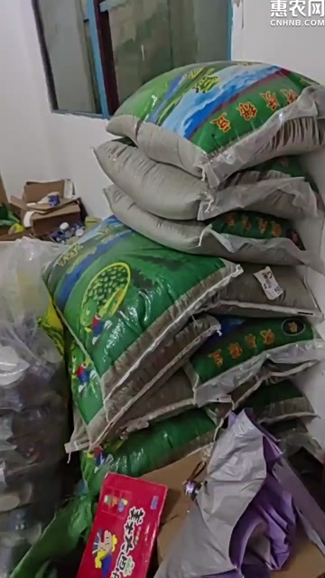 鹿邑县新鲜商用东北48斤小粒绿豆夏季解暑商用30斤绿豆甜汤奶茶店绿