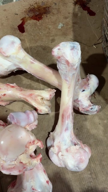 牛棒骨，熬汤专用，网红牛棒骨，可切块，