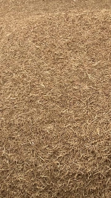 新泰市徐长卿去石选货