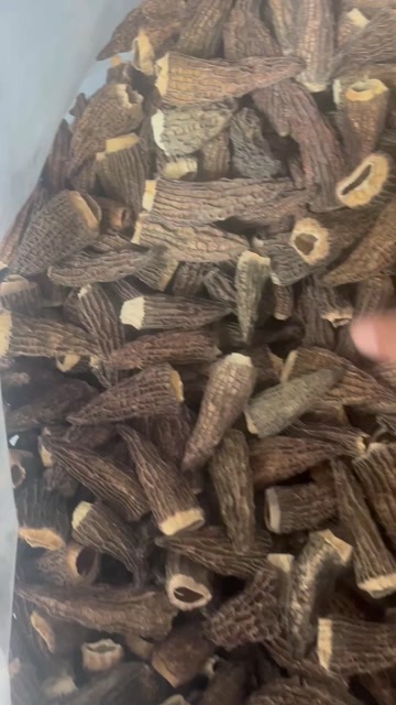 金堂县羊肚菌干货光冒全剪六妹，灌肉，灌虾滑，工厂，饭店专用