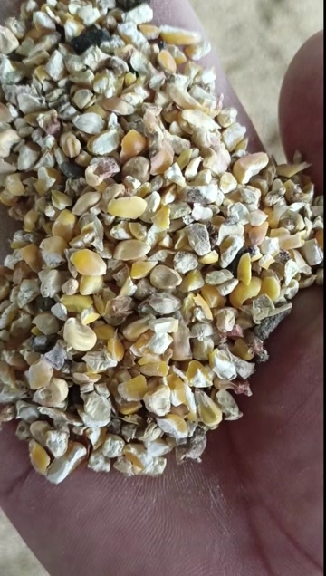 济南精品养殖碎玉米