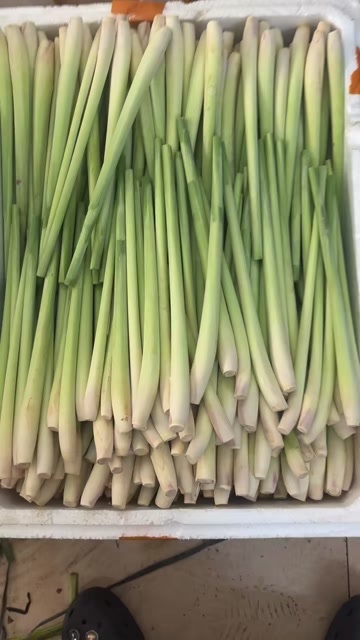 柠檬香茅草精品中的精品出货啦