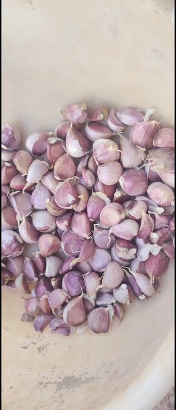 弥渡县独头蒜