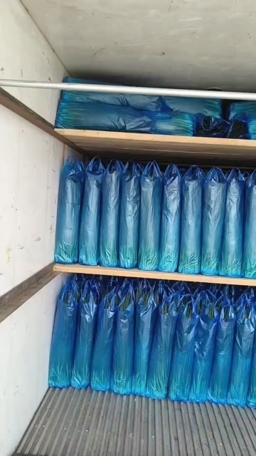 公主岭市东北怀德香葱基地大量有货，有需要的和我联系做生意的是交朋友