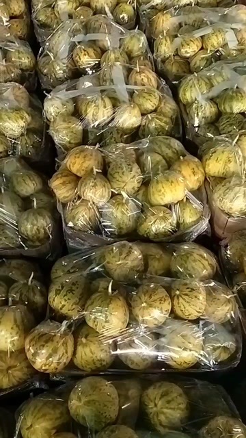 青县博洋久一大量供应