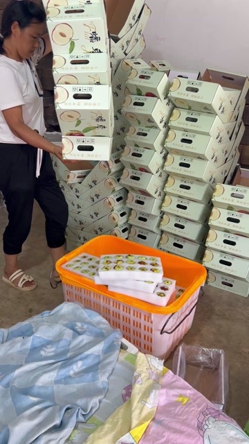 蒙自市云南蟠枣 基地直采直发 小中大特大果16g—50g