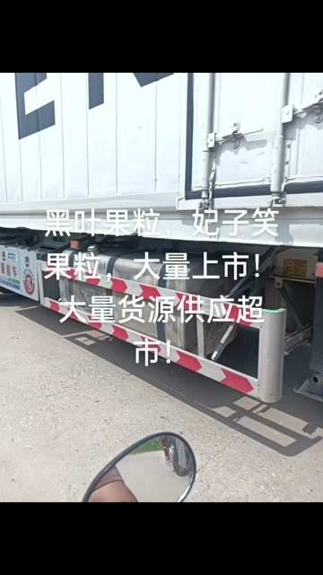 廉江市黑叶荔枝