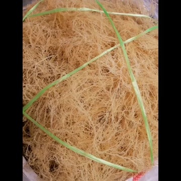 滕州市龙须菜