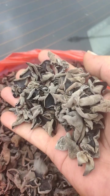 黑木耳