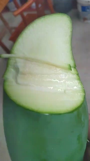 南宁金煌芒芒果大量上市需要一件代发可联系合作