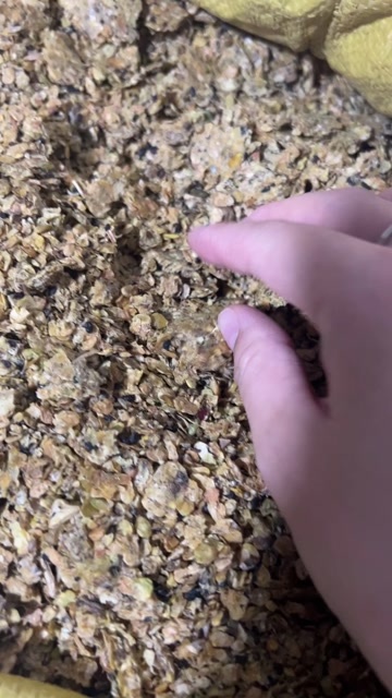 临清市不提油全脂豆饼 上地养殖均可
