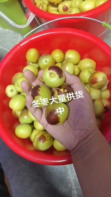 大荔县冬枣