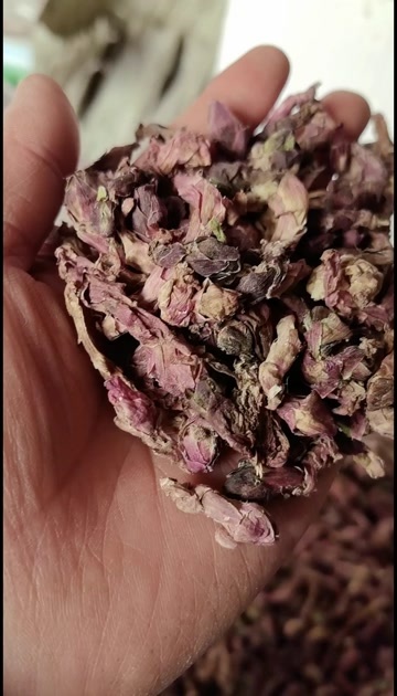 陇西县甘肃陇西款冬花中药材 干燥花朵 养肺， 农场直供 批发零售