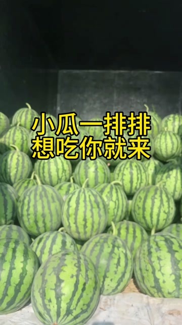 永清县无籽麒麟瓜