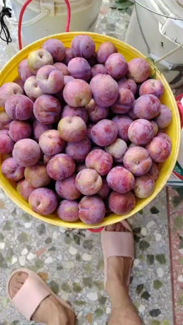 信宜市好吃不贵