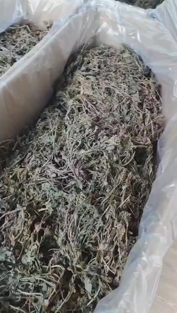 定州市景天三七水煮干货