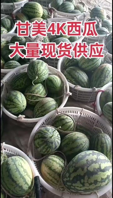 甘美4K西瓜