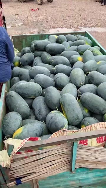 宜城市黑美人，高糖度，无生瓜，无和水，