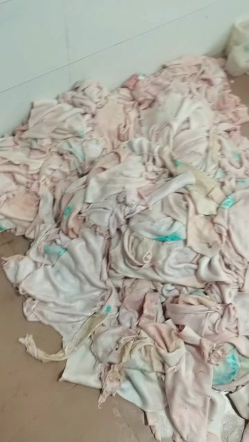 深圳肥猪精挑大皮，无黑毛，无母猪