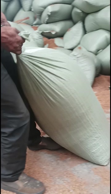 蒲城县苹果渣