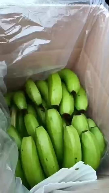 红河县香甜软糯的云南高山香蕉