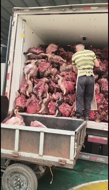 博爱县牛蹄筋