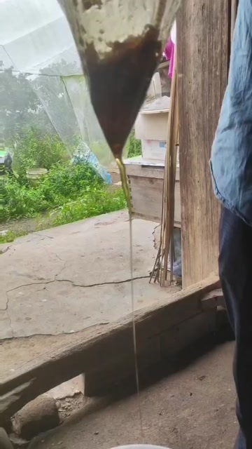 江西寻乌野生蜂蜜正当时，大山里的土蜂蜜，一手货源充足。