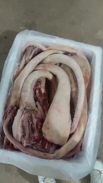 广西贺州新鲜牛尾 牛副产品批发 实惠好货