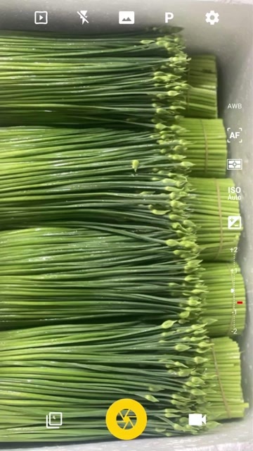 韭菜花