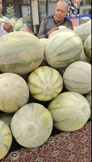 新疆南疆伽师瓜