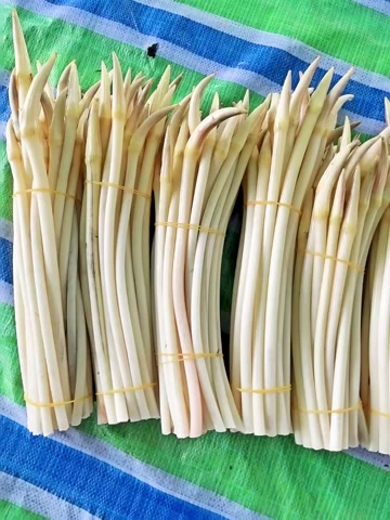 洪湖市新鲜水生菜类藕带 湖北洪湖直发 高品质蔬菜