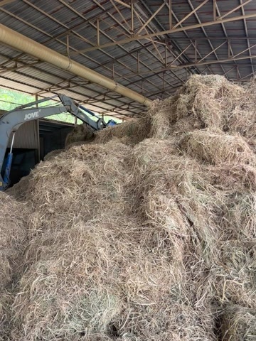 荆门干草，