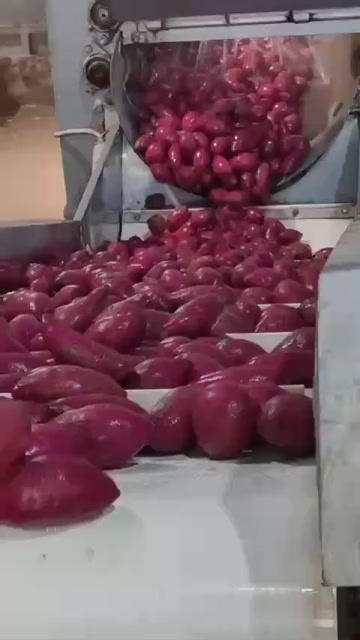 凭祥市紫薯
