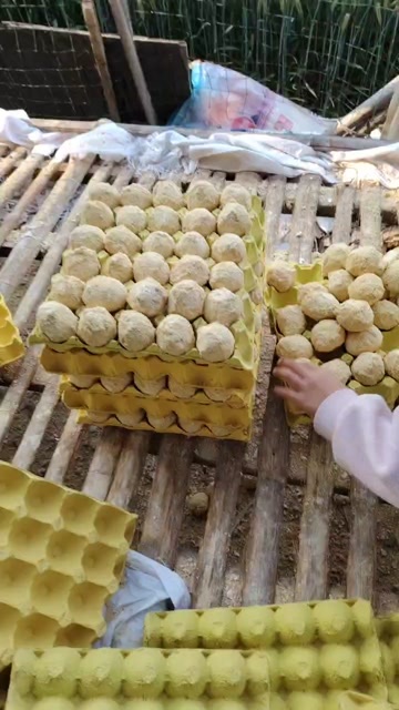 商水县河南五香变蛋厂家直销