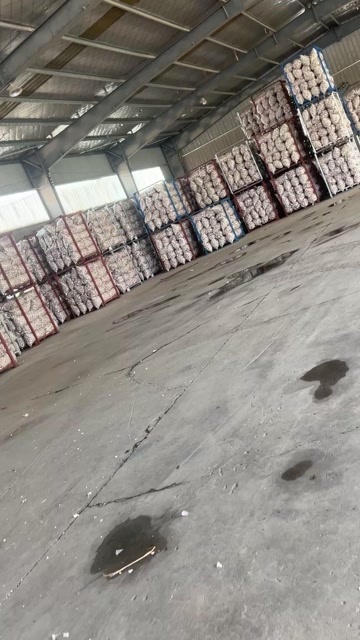 徐州邳州精品净蒜