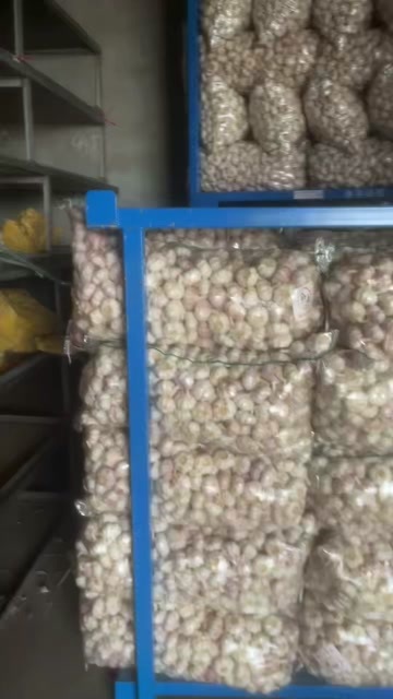 供应邳州净蒜，全级有货，门市收购一手农户产品，亦可代办！