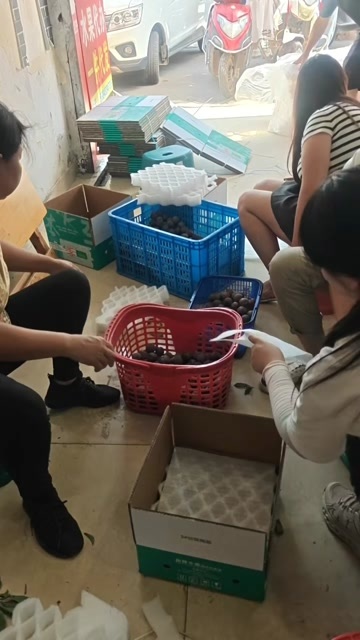 仁寿县五月脆