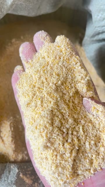 石家庄玉米次粉 玉米面 用于饲料养殖 牛马驴羊猪 鸡鸭鹅 所有养殖