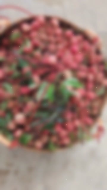 惠州镇隆荔枝现摘现发 桂味糯米糍新鲜直达 甜多汁果肉晶莹