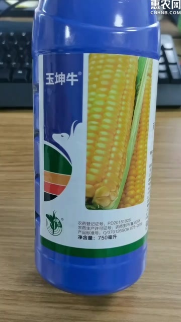 潍坊硝烟莠去津玉米苗后除草剂专用除牛筋草马齿苋植物玉米农用农药